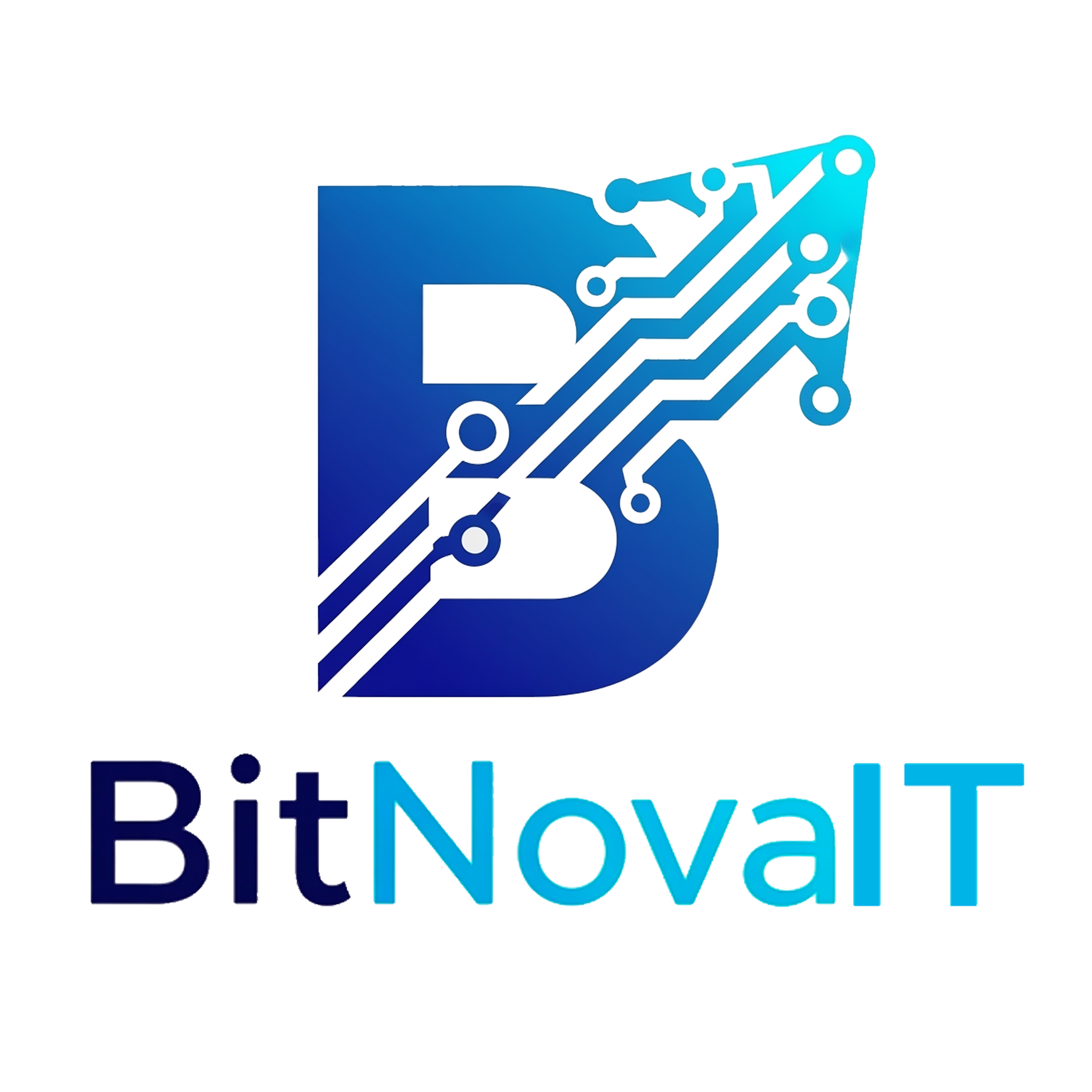 BitNovaIT Logo